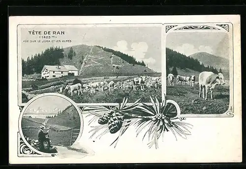 AK Tete de Rang, Hotel Tete de Rang mit weidenden Kühen, Wanderer