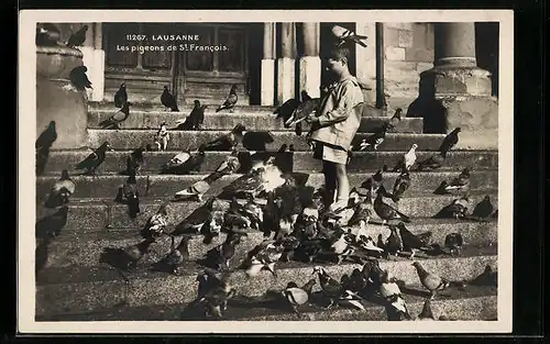 AK Lausanne, Les pigeons de St. Francois