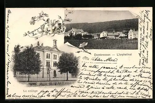 AK Dombresson, L`orphelinat, Le collège