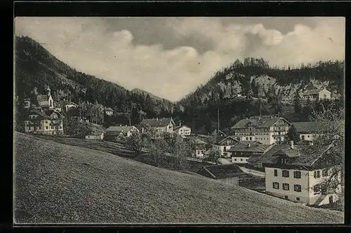 AK Birkenstein, Totalansicht der Ortschaft