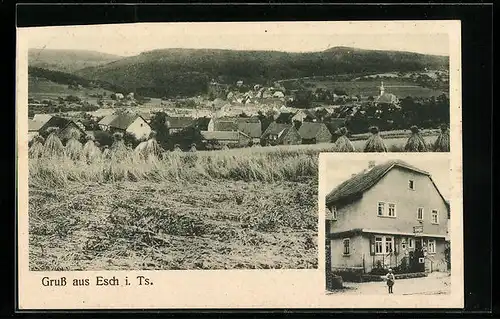 AK Esch i. Ts., Kolonialwarengeschäft von Hermann Schaus, Teilansicht