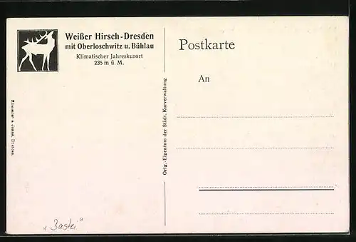 Künstler-AK Weisser Hirsch-Oberloschwitz gegen die Elbe, Elbdampfer