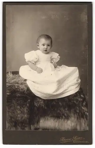 Fotografie Bruno Risse, Sprockhövel, niedlicher Knabe Gustav Oberbossel im weissen Kleidchen auf Fell sitzend