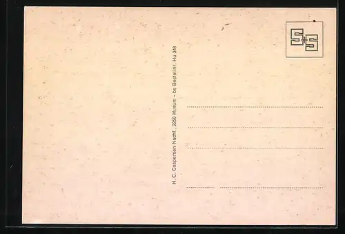 AK Simonsberg /Nordfreisland, Gebäudeansicht, Denkmal, Strassenpartie