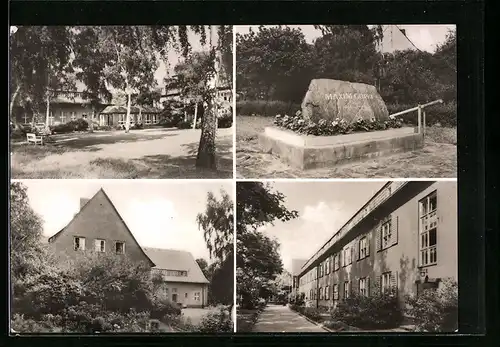 AK Taucha /Bez. Leipzig, Feierabendheim Maxim Gorki am Veitsberg, Hof, Gedenkstein