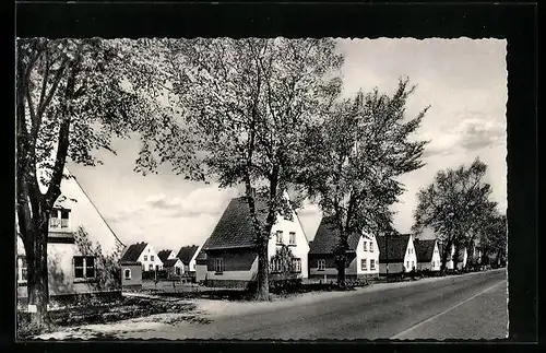 AK Altenbruch, Wohnhäuser im neuen Viertel