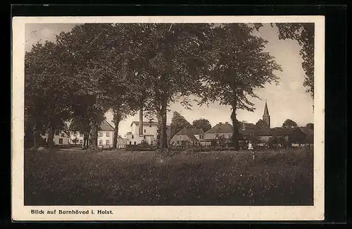 AK Bornhöved i. Holst., Blick auf die Ortschaft