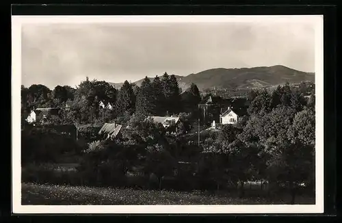 AK Obersasbach, Ortsansicht, Denkmal-Enthüllung a. 5.8.1934