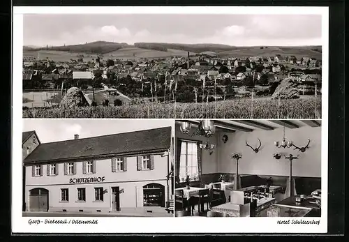 AK Gross-Bieberau / Odenwald, Hotel Schützenhof, Ortspanorama