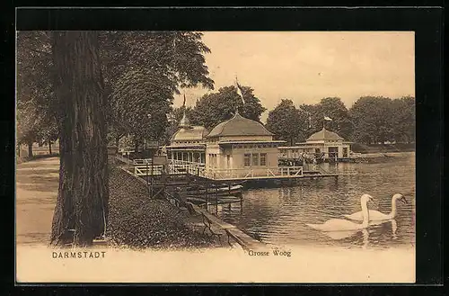 AK Darmstadt, Grosse Woog