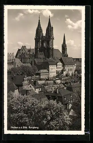 AK Meissen a. d. Elbe, Ortspartie mit Burgberg