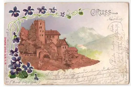 AK Reiter vorm Stadttor, Veilchen