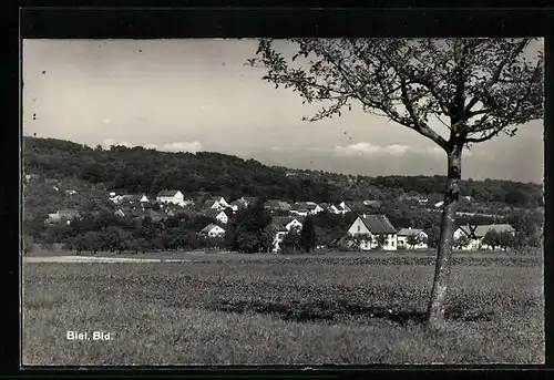 AK Biel, Ortsansicht vom Ortsrand aus