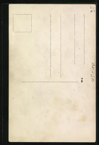 AK Boxer mit Handschuhen beim Schattenboxen