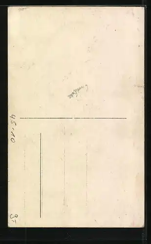 AK Boxer mit ernstem Blick in drohender Pose