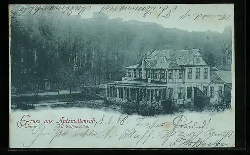 AK Wolfenbüttel, Haus Antoinettenruh aus der Vogelschau