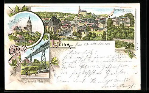 Lithographie Weida, Restaurant Alpenrose, Schloss Osterburg, Totalansicht