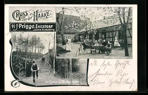 AK Ehestorf /Haake, Restaurant H. J. Prigge mit Terrassen