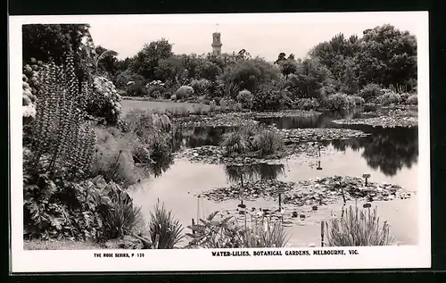 AK Melbourne, Water-Lilies, Botanical Gardens