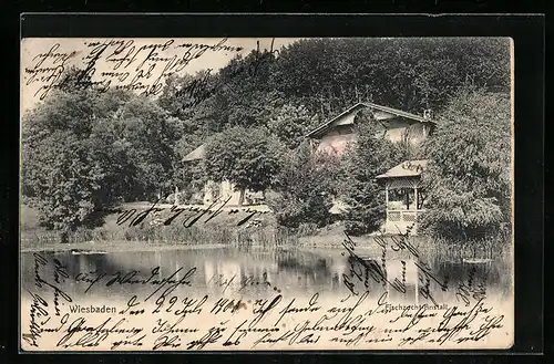 AK Wiesbaden, Ansicht der Fischzucht-Anstalt