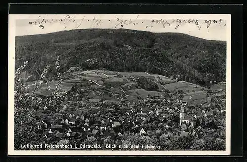 AK Reichenbach i. Odenwald, Blick zum Felsenberg