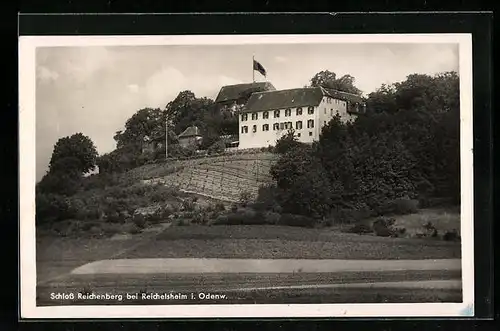 AK Reichelsheim i. Odenw., Schloss Reichenberg