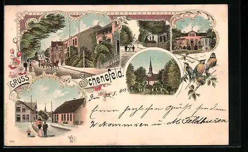 Lithographie Schenefeld, Versch. Strassenpartien, Kirche und Blaumeisen