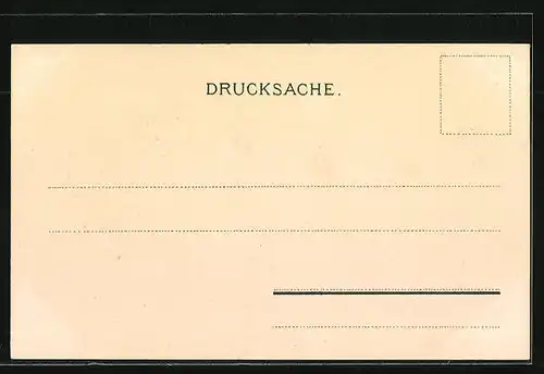 Lithographie Zürich, Totalansicht aus der Vogelschau