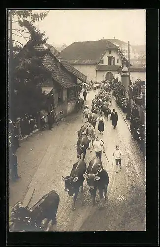 AK Luzern, Schillerhuldigung 1905