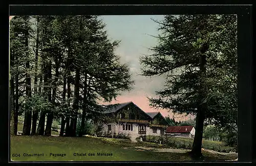 AK Chaumont, Paysage, Chalet des Mélèzes