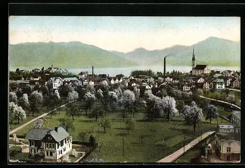 AK Cham, Ortsansicht aus der Vogelschau