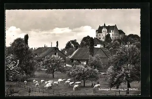 AK Stettfurt /Thurgau, Schlossgut Sonnenberg