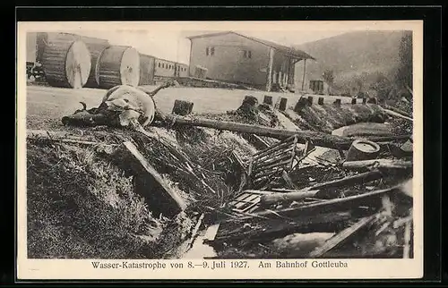 AK Gottleuba, Wasserkatastrophe 1927, Verwüstungen am Bahnhof mit verendetem Rind