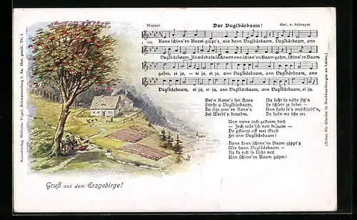 AK Partie aus dem Erzgebirge, Dar Vugelbärbaam! Lied