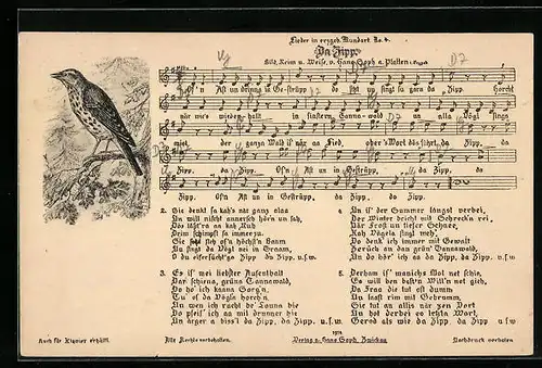 AK Lied in erzgeb. Mundart Da Zipp