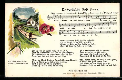 Lied-AK Anton Günther Nr. 21: Lied in erzgeb. Mundart Dr verliebta Boss (Bursch.)