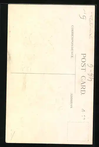 AK Junge am Telefon mit Mistelzweigen