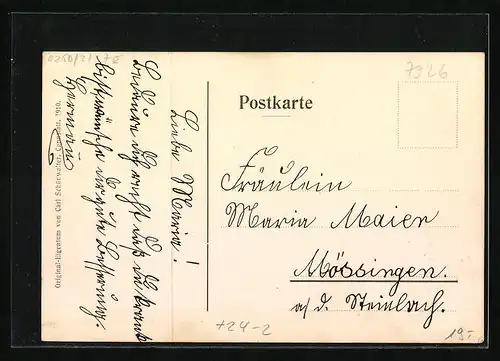 AK Böhmenkirch, Brandkatastrophe am 14.04.1910, Schaulustige