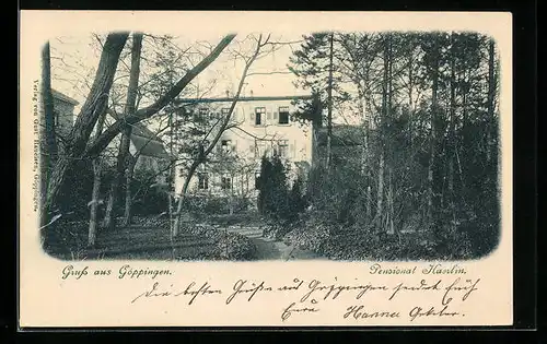 AK Göppingen, Pensionat Haerlin mit Anlagen