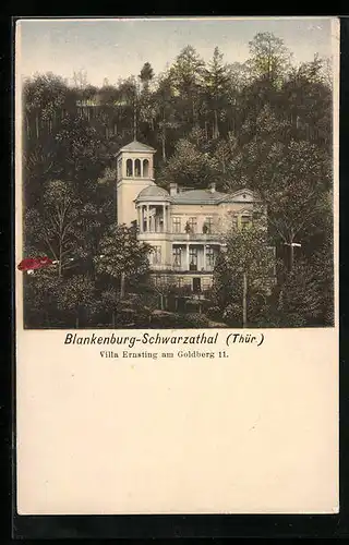 AK Blankenburg-Schwarzathal /Thür., Villa Ernsting am Goldberg 11