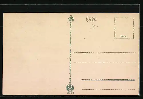 AK Eisenberg i. Thür., Gasthaus Naupoldsmühle aus der Vogelschau