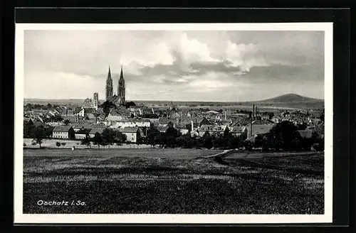 AK Oschatz i. Sa., Teilansicht mit Häusern
