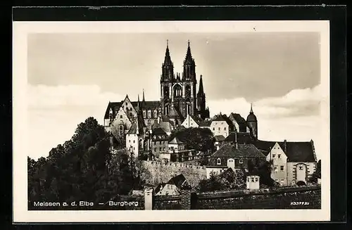 AK Meissen a. d. Elbe, Ansicht des Burgbergs