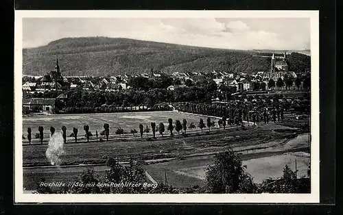 AK Rochlitz i. Sa., Blick auf den Rochlitzer Berg