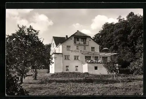 AK Weiten-Gesäss bei Michelstadt i. Odw., Pension Waldfriede