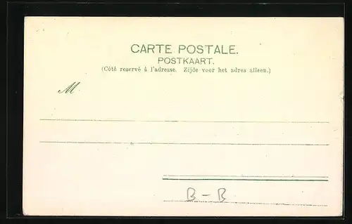 Lithographie Bruxelles, Palais Royal, Le Parc