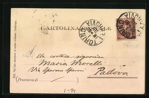 Lithographie Torino, Via di Po e Via della Zecca, Palazzo Madame, Monumento del Frejus