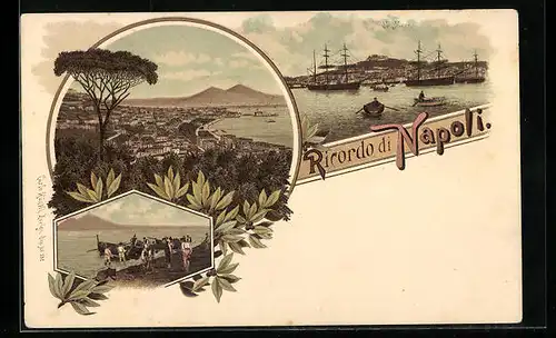 Lithographie Napoli, Panorama, da Mare