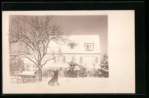 Foto-AK Neckartailfingen, Villa des Notars Dr. Kapp mit Schäferhund und Hundehütte im Schnee