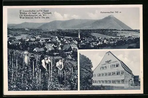 AK Linsenhofen, Ortsansicht mit Weinlese und Hohenneuffen, Gasthof und Pension zur Linde